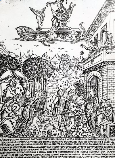 Vénus, c.1464 - Baccio Baldini